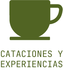 Cataciones y experiencias de café